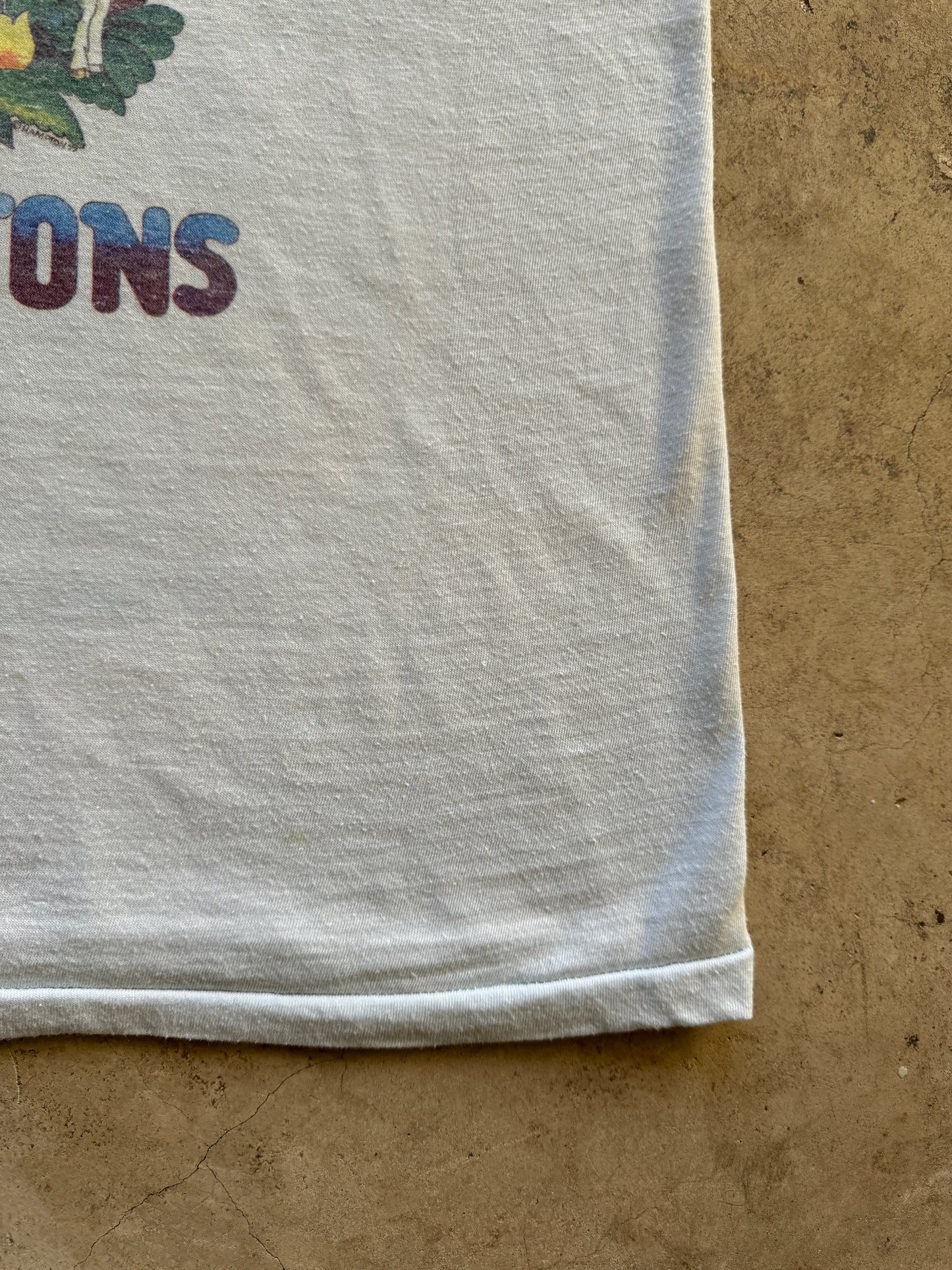 1970s Grand Tetons National Park Tank Top