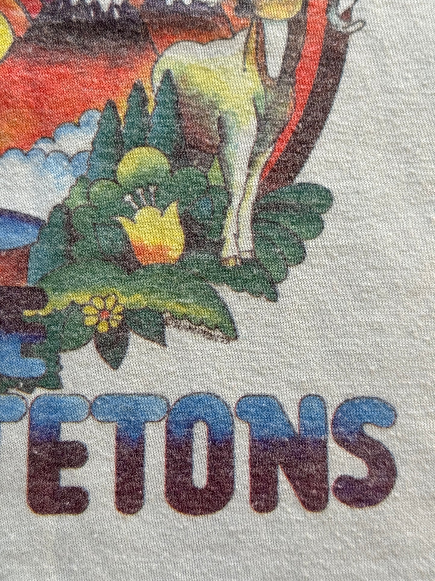 1970s Grand Tetons National Park Tank Top