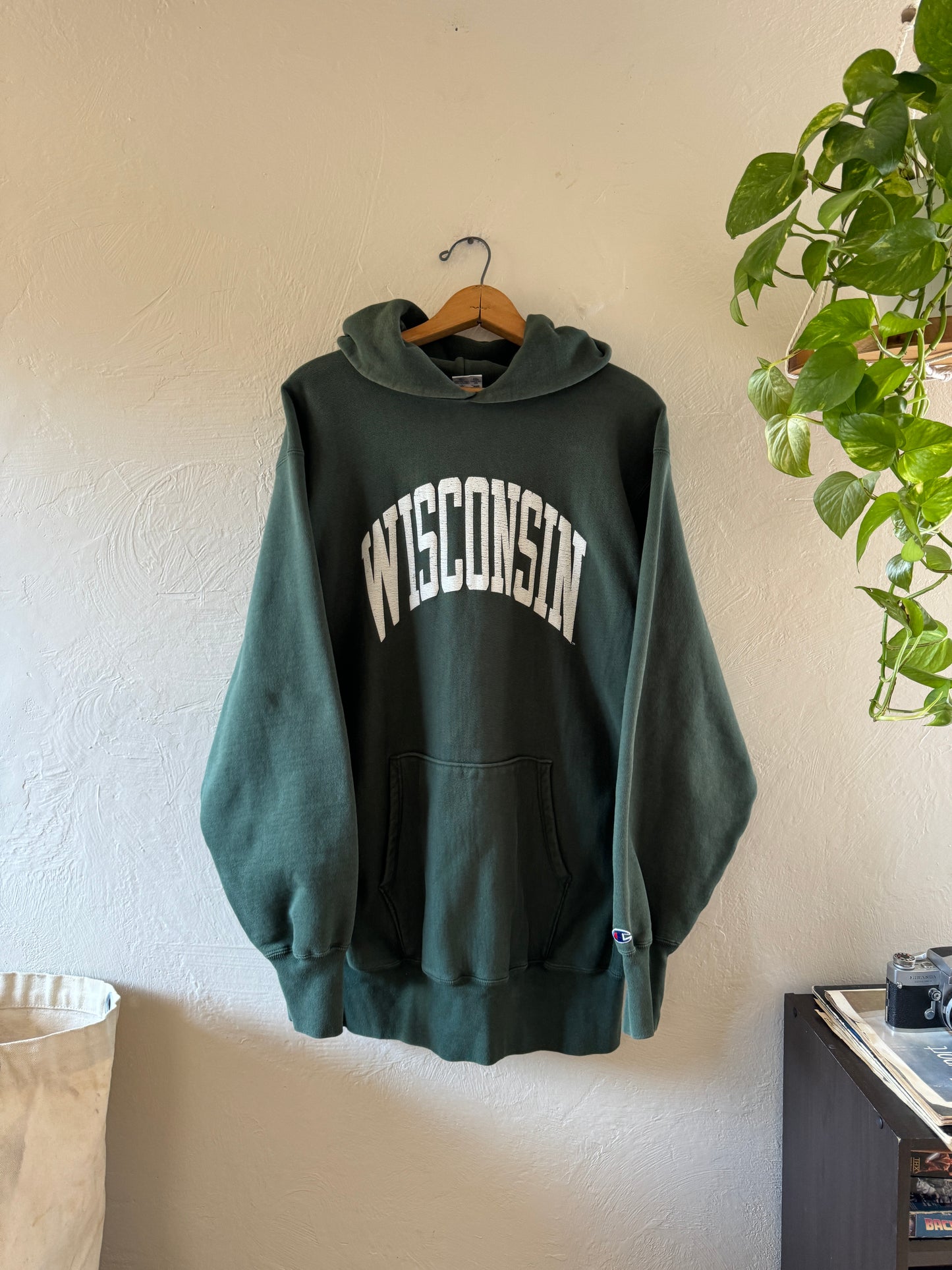 1990s Champion Reverse Weave Wisconsin Hoodie