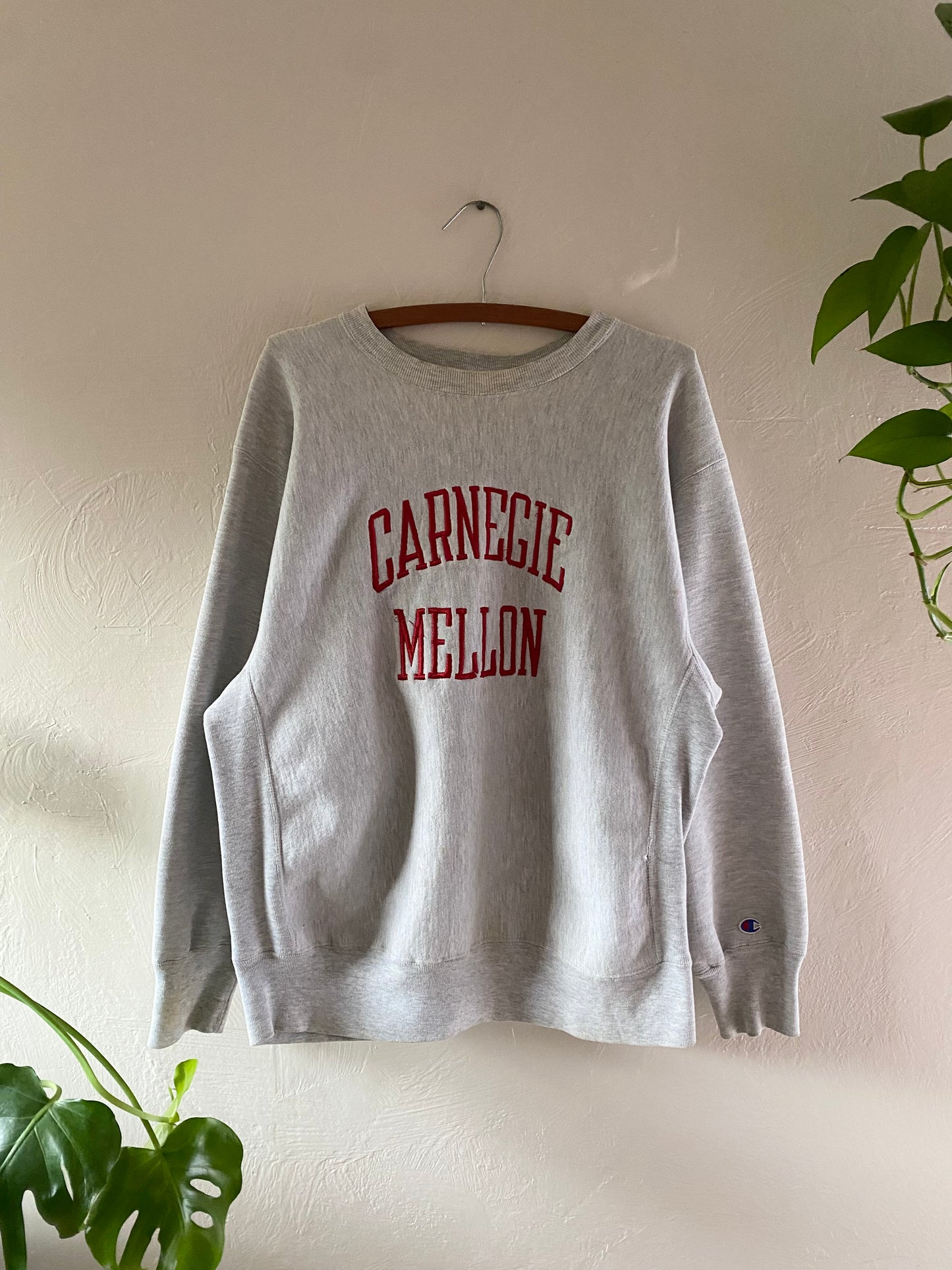 1980s Champion Reverse Weave Carnegie Mellon Sweater