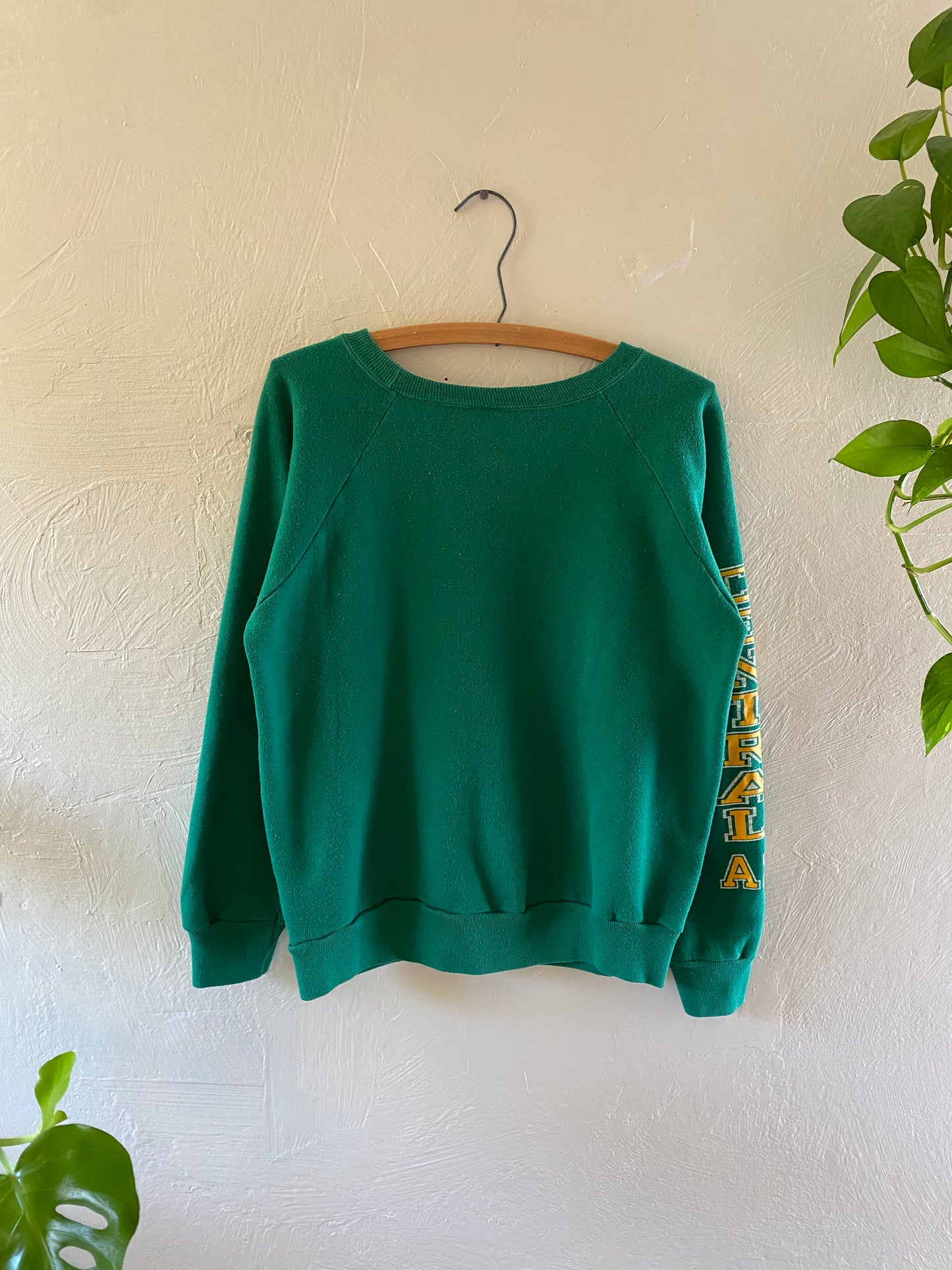 1980s Champion Central Arizona Raglan Sweater