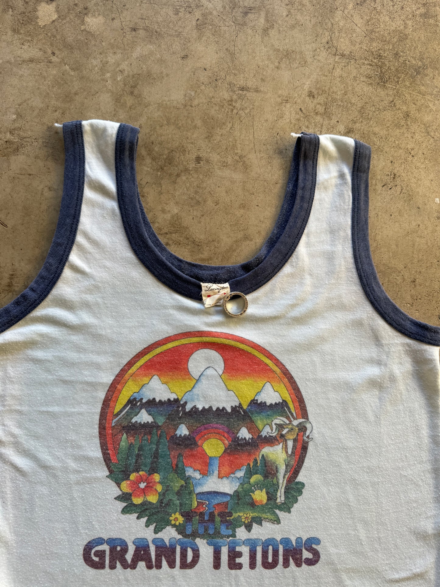 1970s Grand Tetons National Park Tank Top