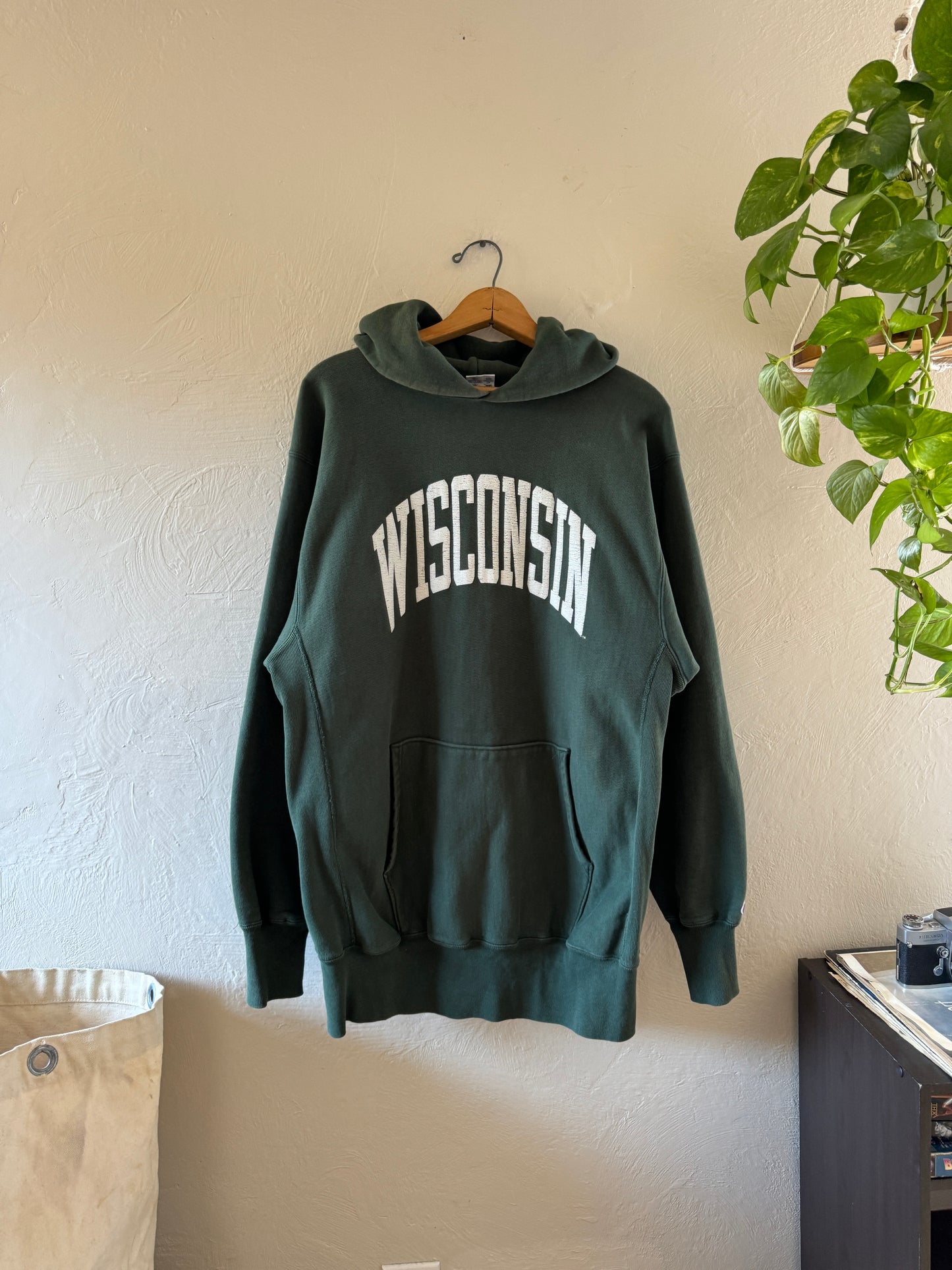 1990s Champion Reverse Weave Wisconsin Hoodie